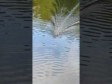 Simple Buzzbait Adjustment