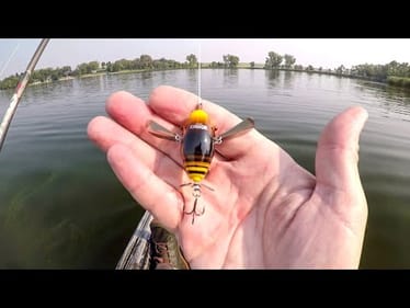 Fish Were Smashing This Little Crawler Lure!