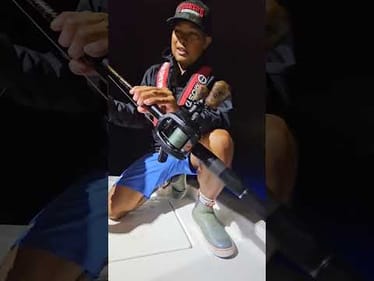 California GOLD- Calico Bass Weedless Swimbait