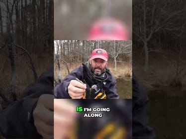 Texas Rigged Creature Baits: Your Secret Weapon for Fishing Success!