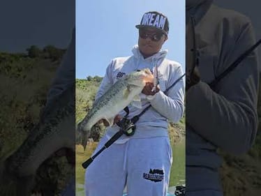 throw jerkbaits in summer!