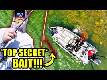 EXPOSING the #1 Hidden Bait NO PRO is Willing to show...