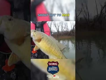Susquehanna River Bass Fishing! BIG Smallmouth Going Ike Tomorrow!