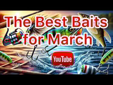 The Best Baits for March and Prespawn Bass Fishing