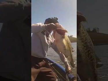 17.40lb Largemouth Bass - Read Description