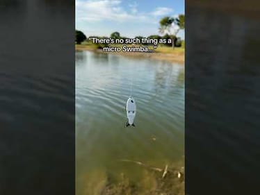 BFS fishing with a Micro Swimbait! #fishing