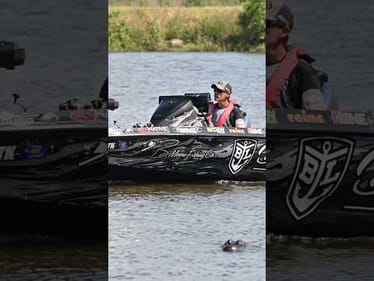 Lake Eufaula has my Number 🐊@MLF5official Invitationals #short #bassfishing #gator