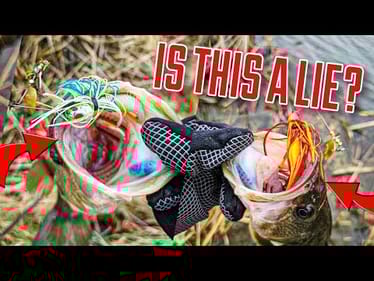 Is Lure Color a LIE? (Red vs White Spinnerbait Challenge!)