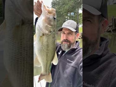 This Bass Lure is MONEY 💰