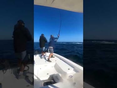 Big Tuna Dreams Season 3!