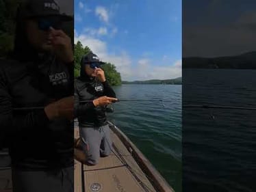 Newest Swimbait Color Released!