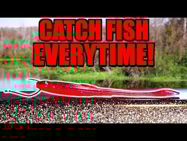 How the Dropshot Rig Has Drastically CHANGED my Fishing!