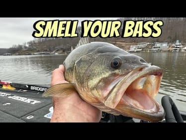 You’ll Never Release A Bass Again Without Smelling It After Watching THIS…