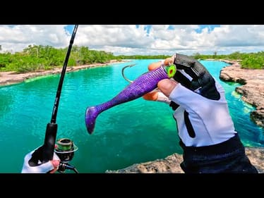 I Caught the Canal Monster!