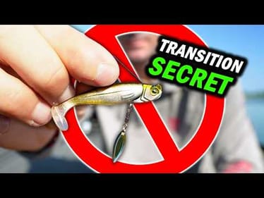 These BREAK every RULE in SWIMBAIT Fishing