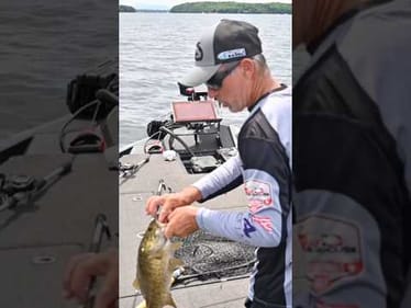 Dropshot Smallmouth Lake Champlain #short #bassfishing #lakechamplain