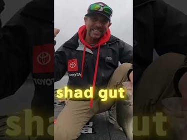 Finding BIG Bass on a Time Limit! Check out the recent Going Ike!