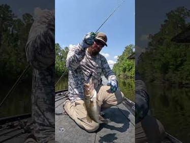 🐸 INSANE Frog Bite!!! 🐸 #shorts