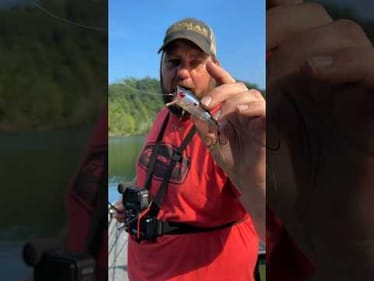Prank Calls Bass Up 25ft