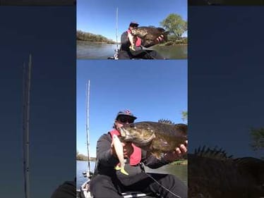Big Smallies Love Big Swimbaits