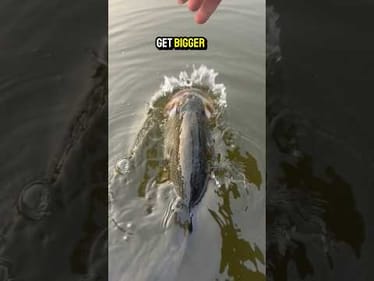 Now Go Get Bigger
