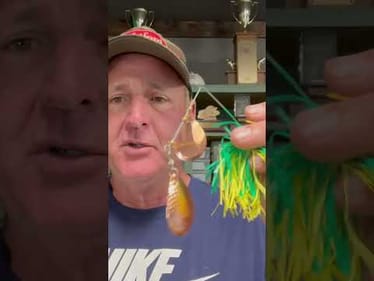 Old Timers Spinnerbait Secret