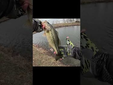 On the Board!! #bassfishing #shorts #spring #outdoors  #fishing