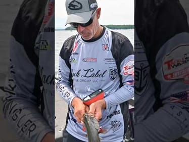 Lake Champlain Smallmouth Country #short #bassfishing #lakechamplain