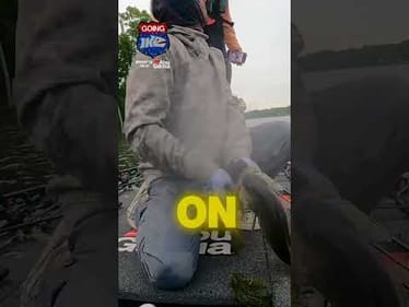 Salad is good for you! Be catch fish you must eat like fish!