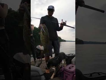 Salmallmouth Love Saltwater Topwaters