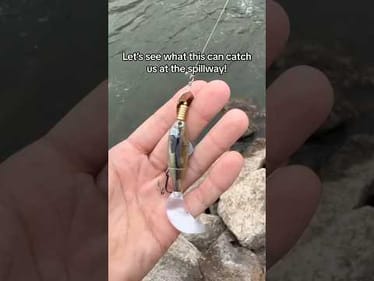 What will this catch me on my BFS combo? #fishing