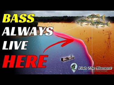 Always Start HERE - The Secret To Locating Bass FAST on Any Lake in the Country