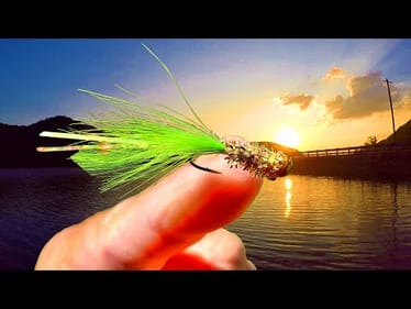 If You Like To Eat Crappie - How To Catch Loads At Night!