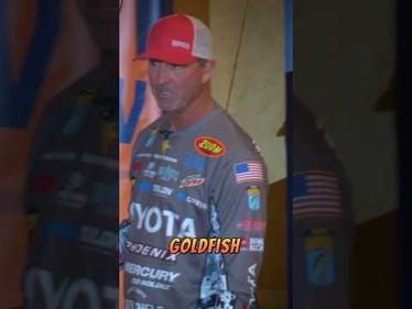 Cold Water Crankbaits - Gerald Swindle