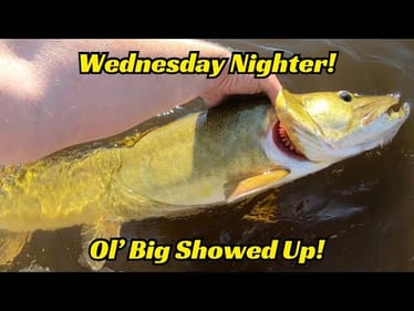 Wednesday Nighter Giants!