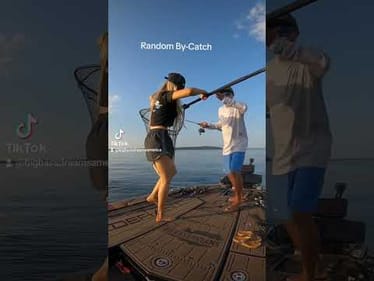 Lake Champlain Mystery Fish
