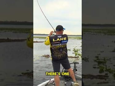 Fishing heavy cover for BIG BASS with Bobby Lane!