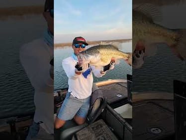 Blind Strike Bass Fishing