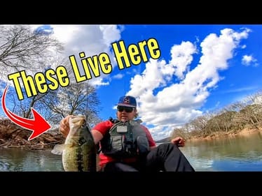 Exploring a Scenic East Tennessee River