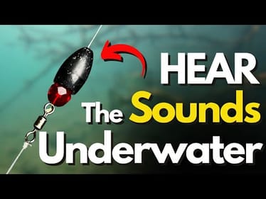 You'll Never Think of a Carolina Rig the Same After Watching This