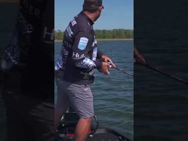 Lee Livesay Lake Fork BIG BASS #shorts #fishing #bassfishing