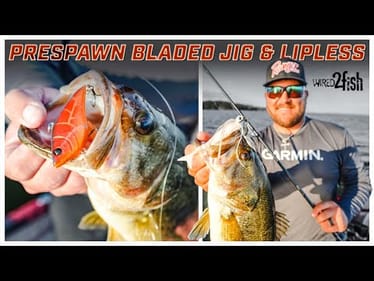 Bladed Jig and Lipless Crankbait Prespawn Bass Domination