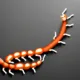 Centipede