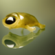 Tadpole